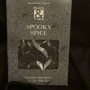 Spooky Spice  skull shaped Scented Wax Melts